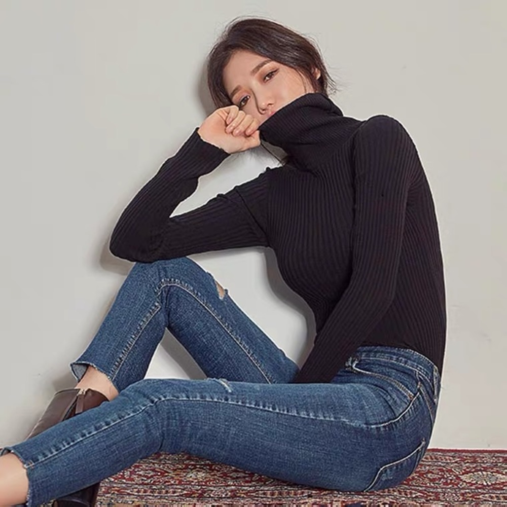 Turtleneck knit top / underneath sweater